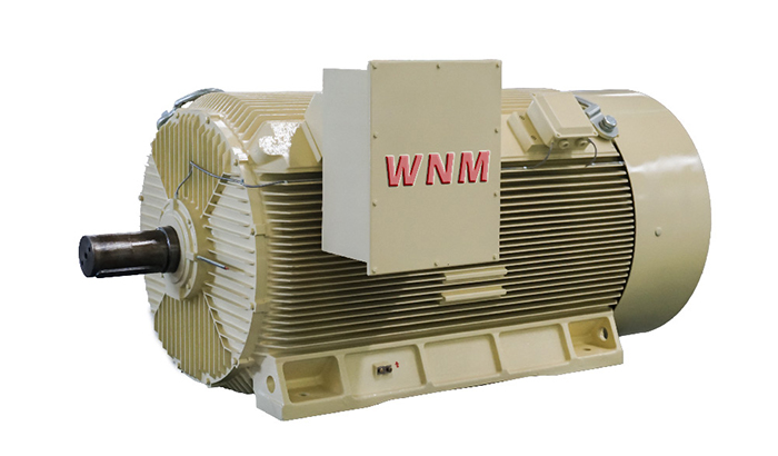 Y2系列高压三相异步电动机 Y2系列高压三相异步电动机